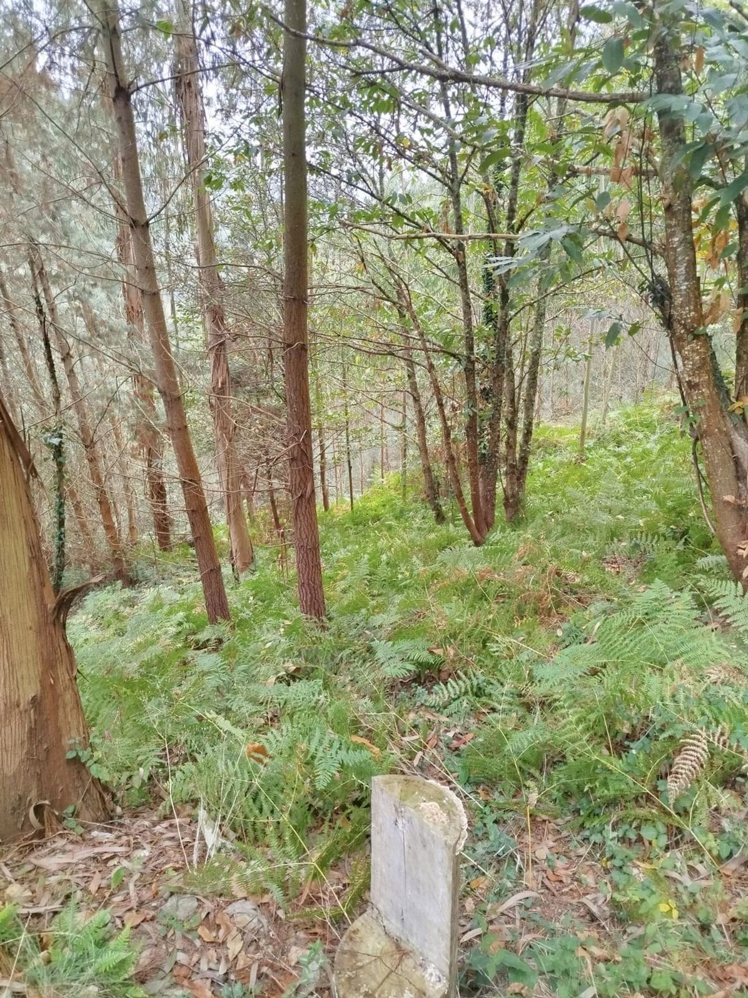 Casa rural en Lugar Vileimil-Pq Vilaboa, 42 D - Foto 24