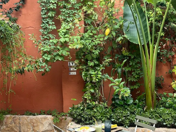 Piso en Calle de Georges Bernanos, 29, El Terreno - Foto 3