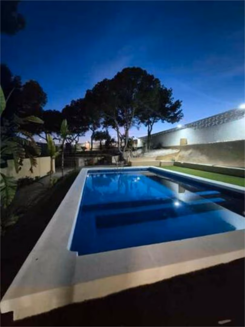 Estudio en orgegia