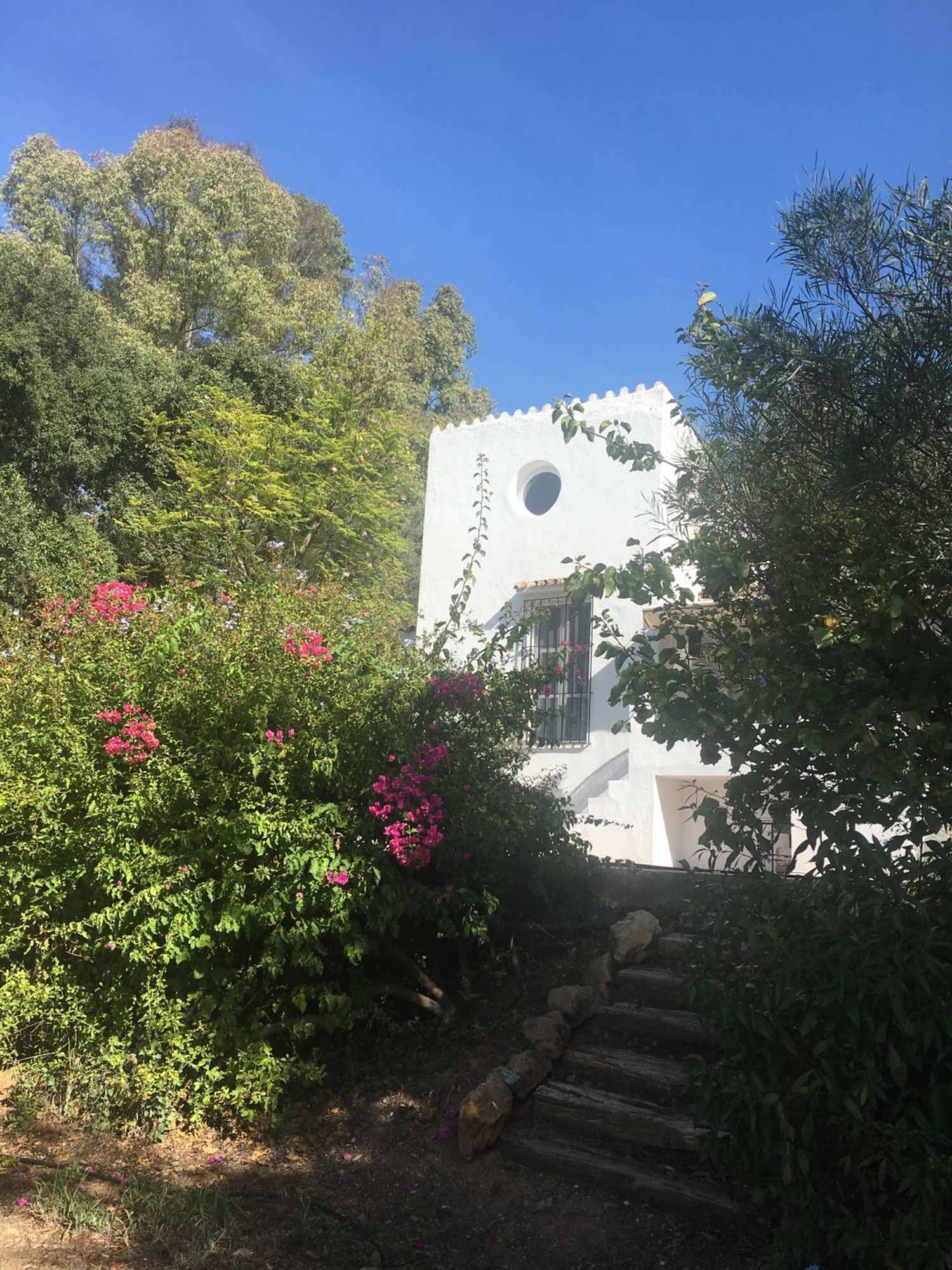 Casa o chalet independiente en Calle de la Palmera, 6, Las Lomas - Foto 4