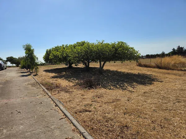 Finca rústica en Vereda de la Tarde, 3, Núcleo Urbano, Núcleo Urbano - Foto 5