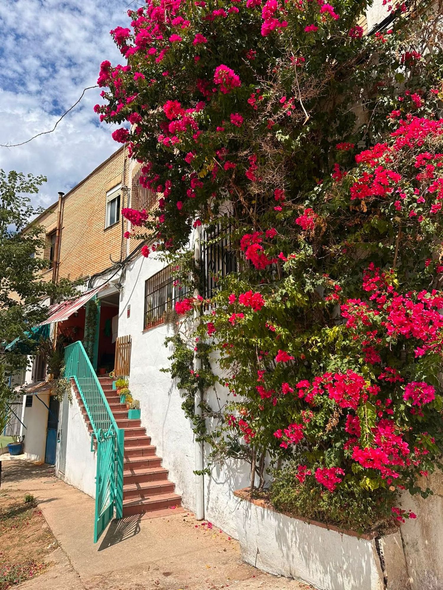 Piso en Avenida Rosal, 11, Trassierra - Las Jaras - Foto 14