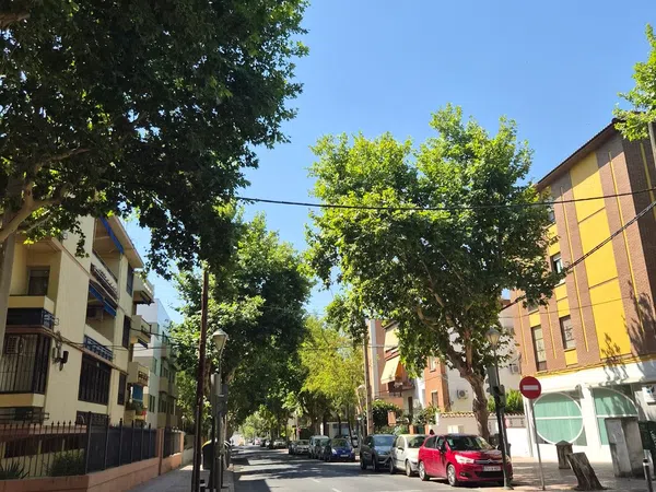 Piso en Calle el Nogal, 8, Santa Rosa - San José - Foto 6