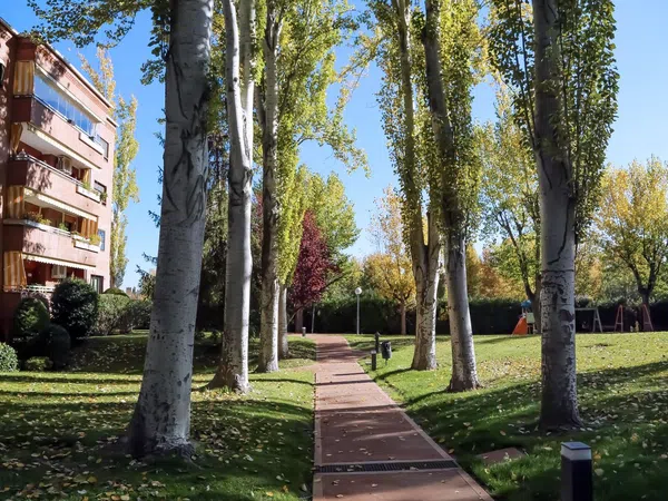 Piso en Prado de Somosaguas - Foto 22