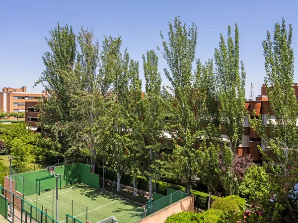 Piso en Calle Tramontana, 35, Prado de Somosaguas - Foto 26