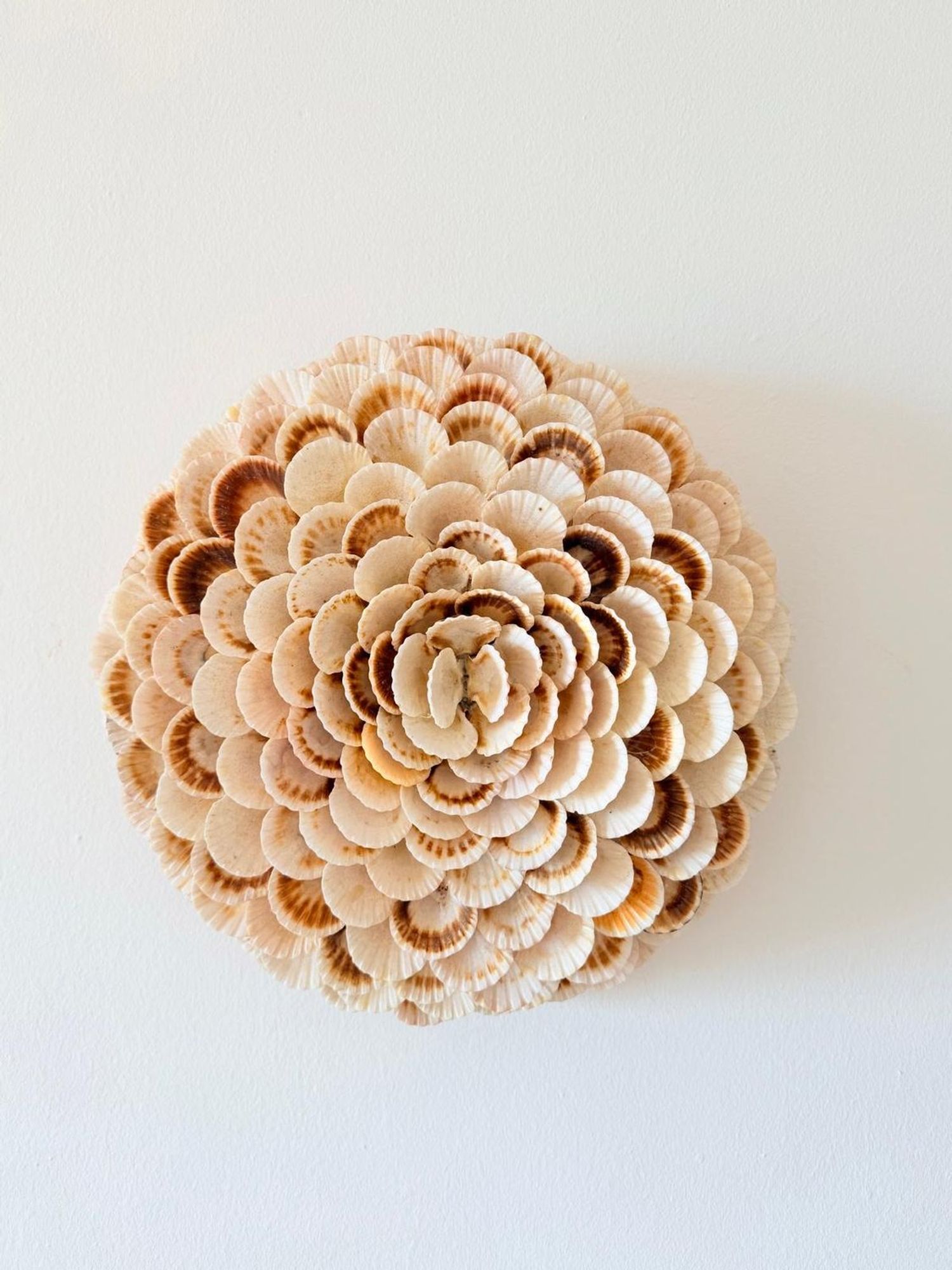 Piso en carretera d'Artà, 7 - Foto 17