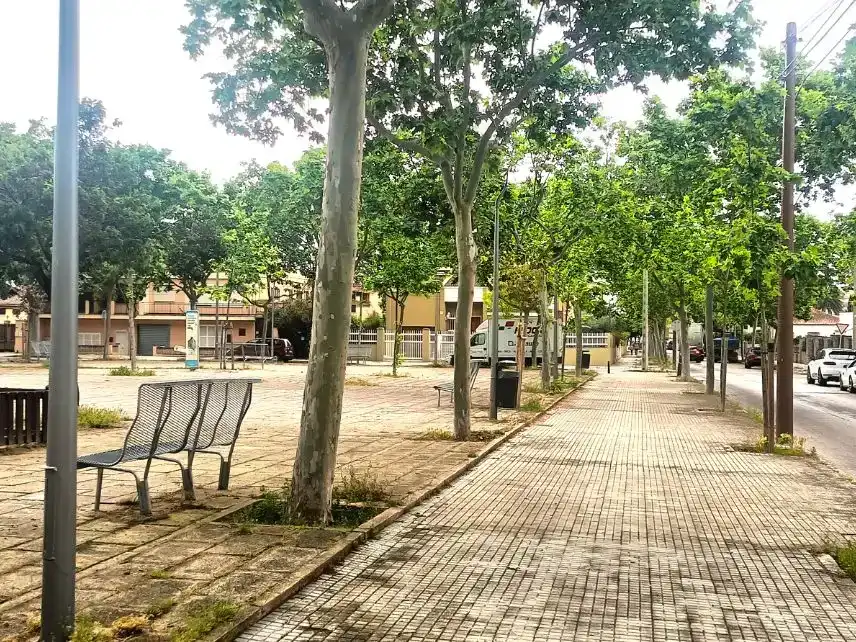 Piso en  Palma de Mallorca - Foto 14