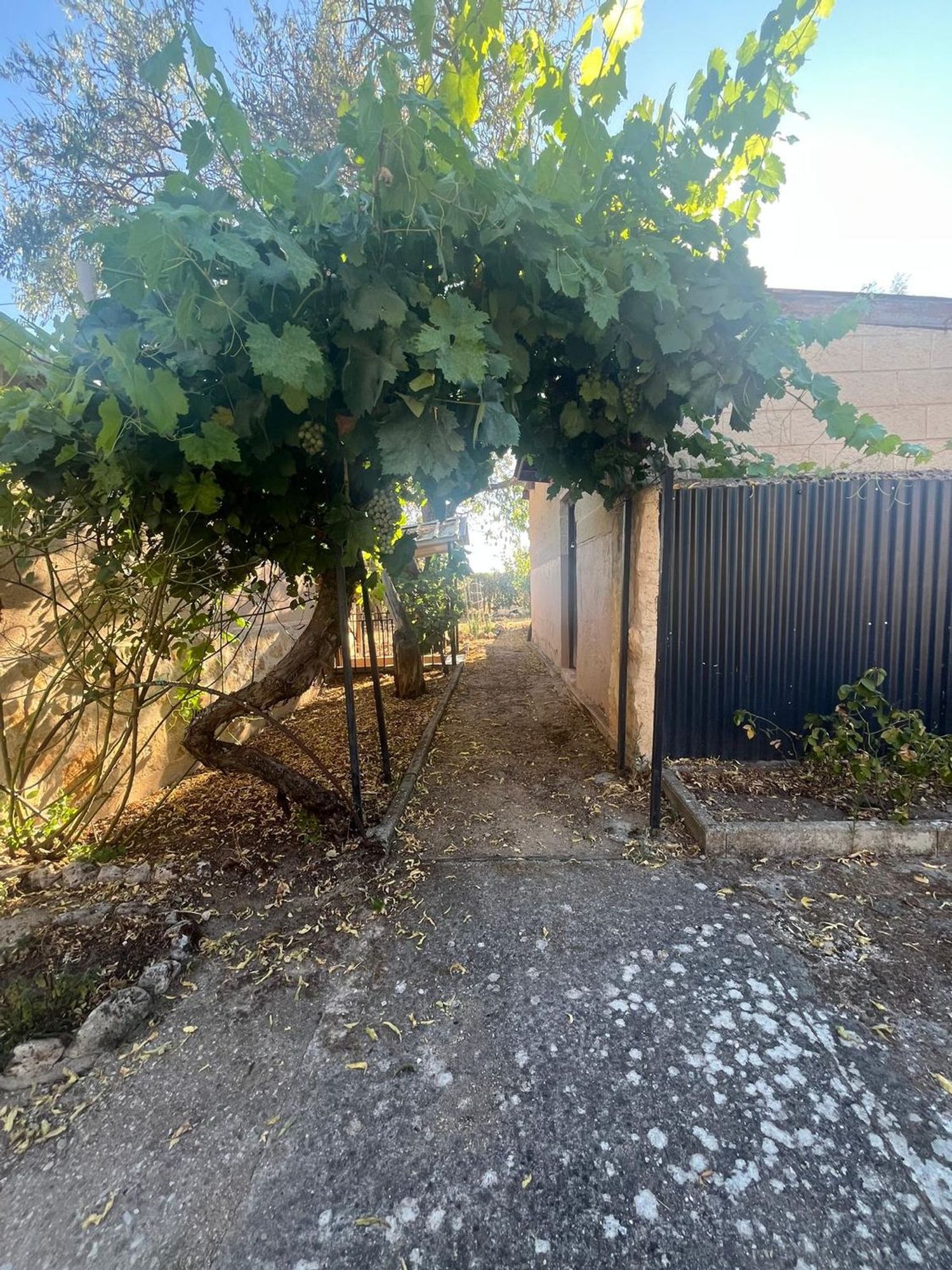 Casa o chalet independiente en Calle Diseminados, 264, La Aguilera - Costaján - Sinovas - La Calabaza, La Aguilera - Costaján - Sinovas - La Calabaza - Foto 18