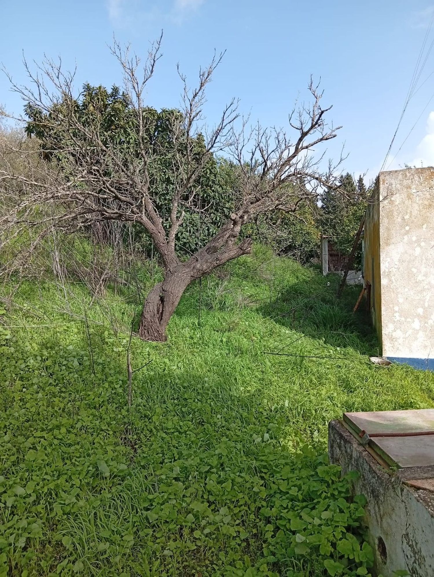 Finca rústica en camino Cañada del Fontanar s/n - Foto 4