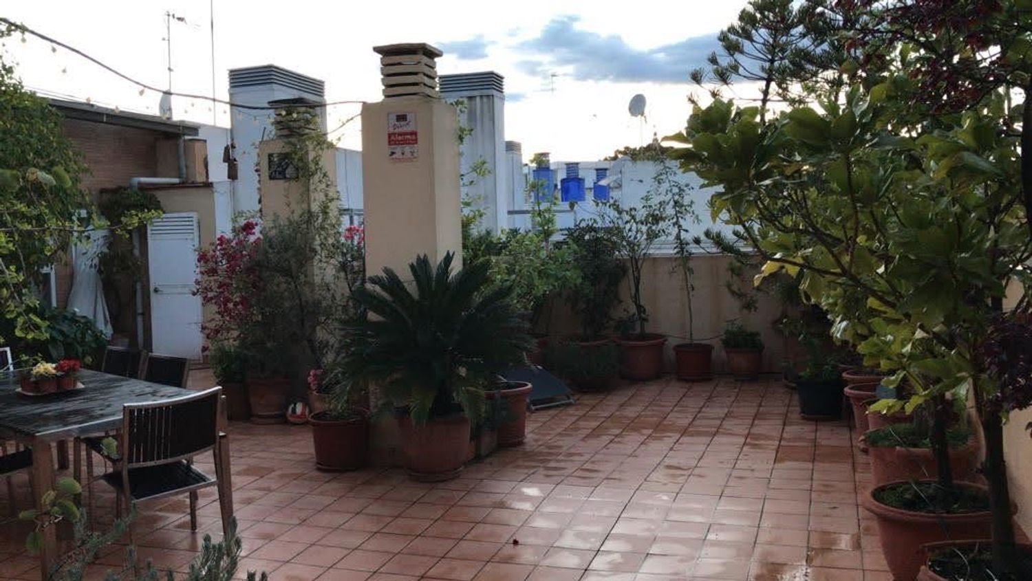 Ático en calle Rastro, 22 - Foto 4