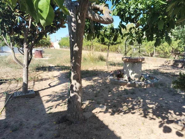 Casa terrera en Camino, 14, Zona Pueblo - Foto 13