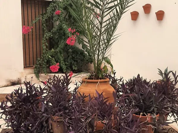 Piso en San Luis, 102, San Julián - Foto 3