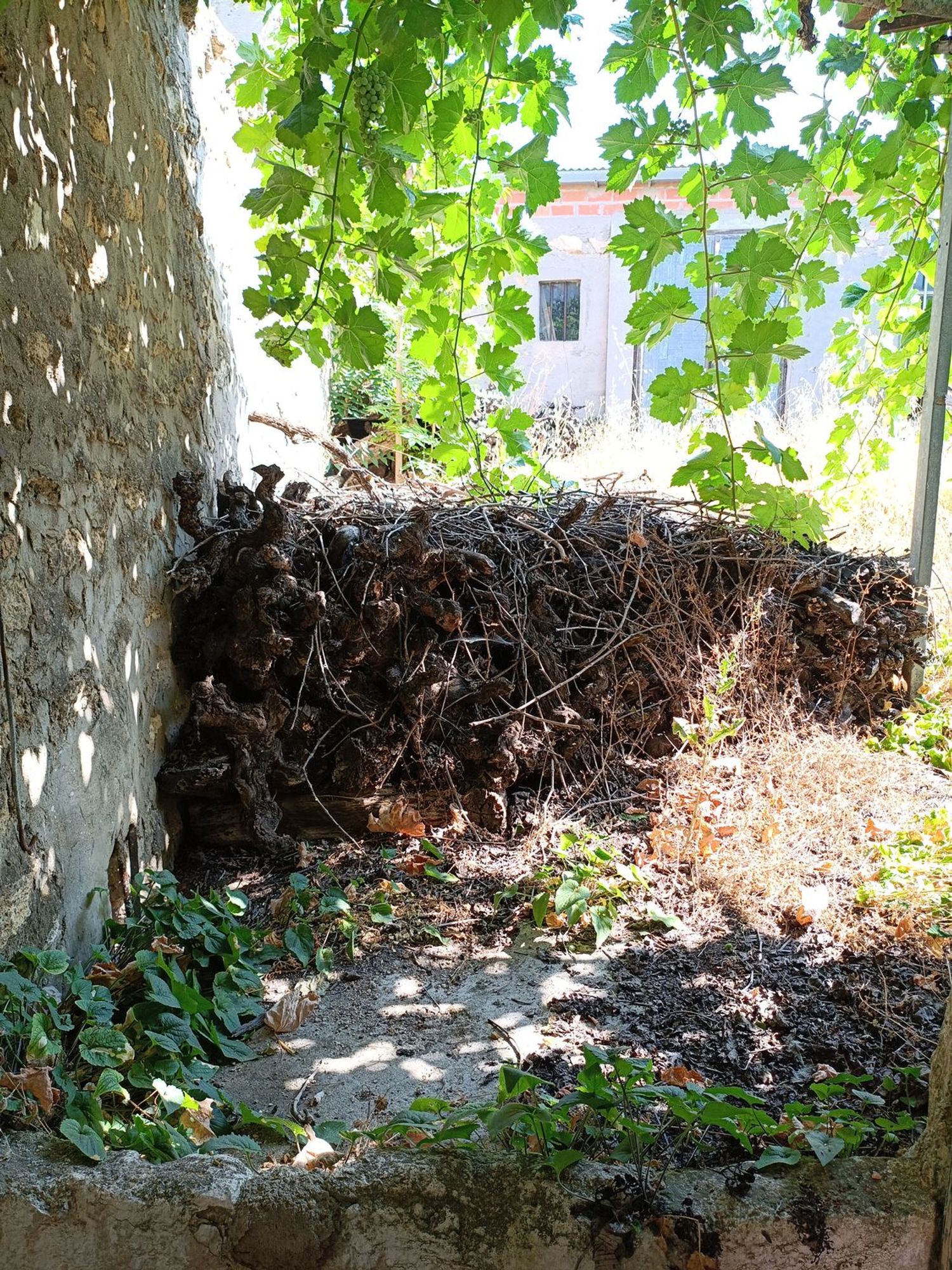 Casa terrera en Paraje Las Fuentes s/n - Foto 3