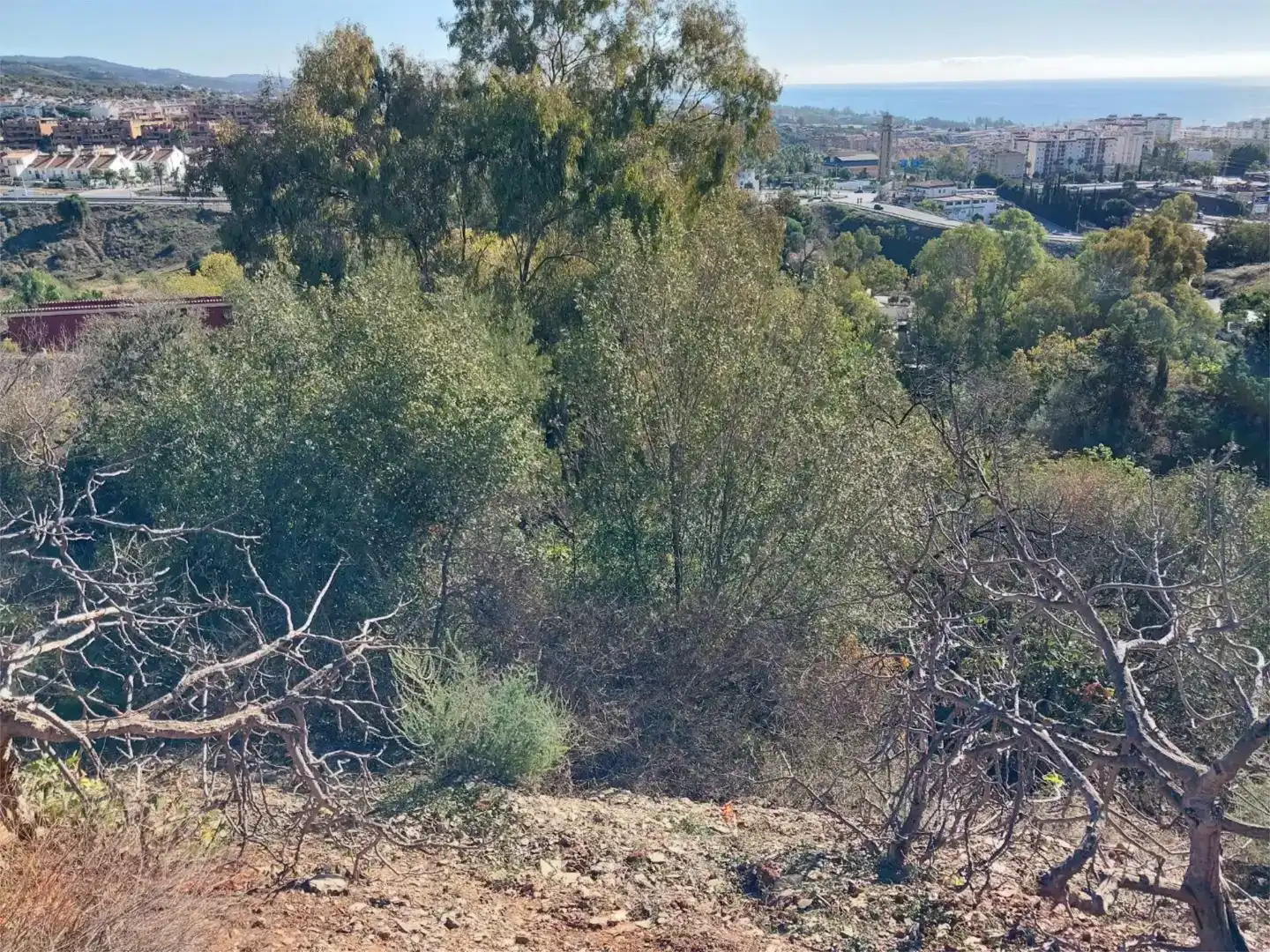 Terreno en  Urbanización Montaña Marbella Club 2 - Foto 4