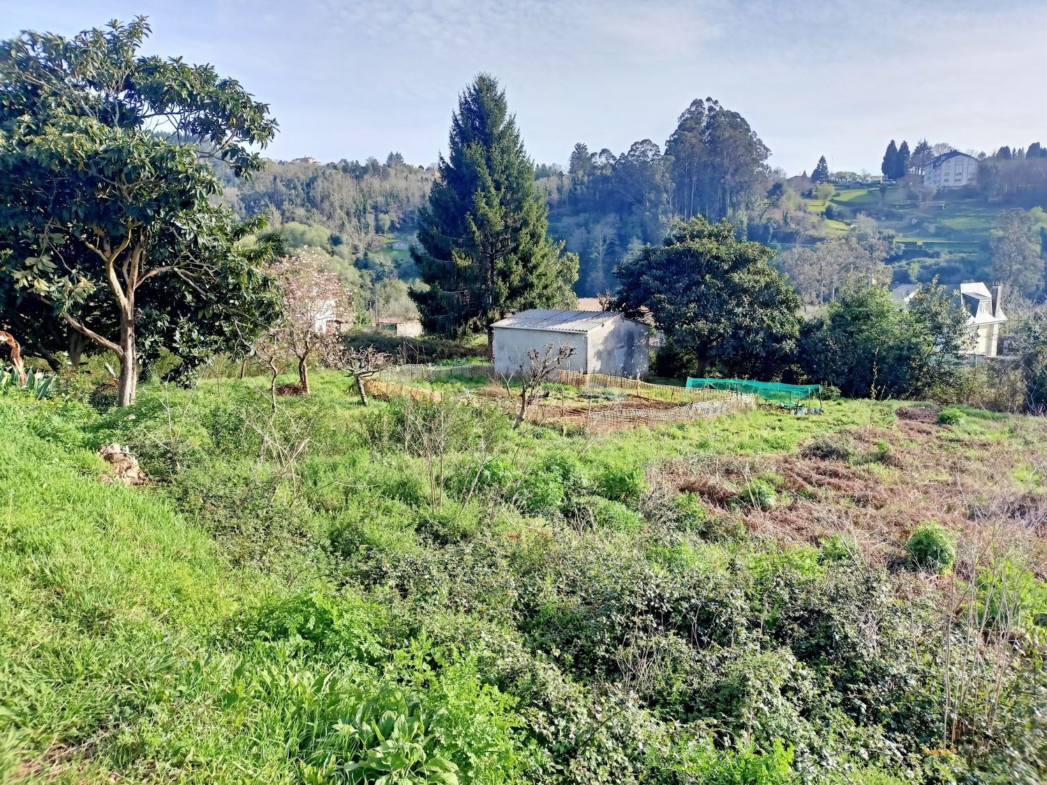 Finca rústica en Lugar Veiga, 5 - Foto 16