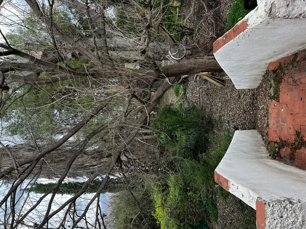 Casa o chalet independiente en Camino de las Palmeras, 4, Puebla de Soto, Murcia - Foto 16