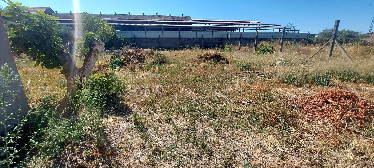 Finca rústica en Urbanización la Morena s/n, Patrocinio - Nueva Talavera, Patrocinio - Nueva Talavera - Foto 5