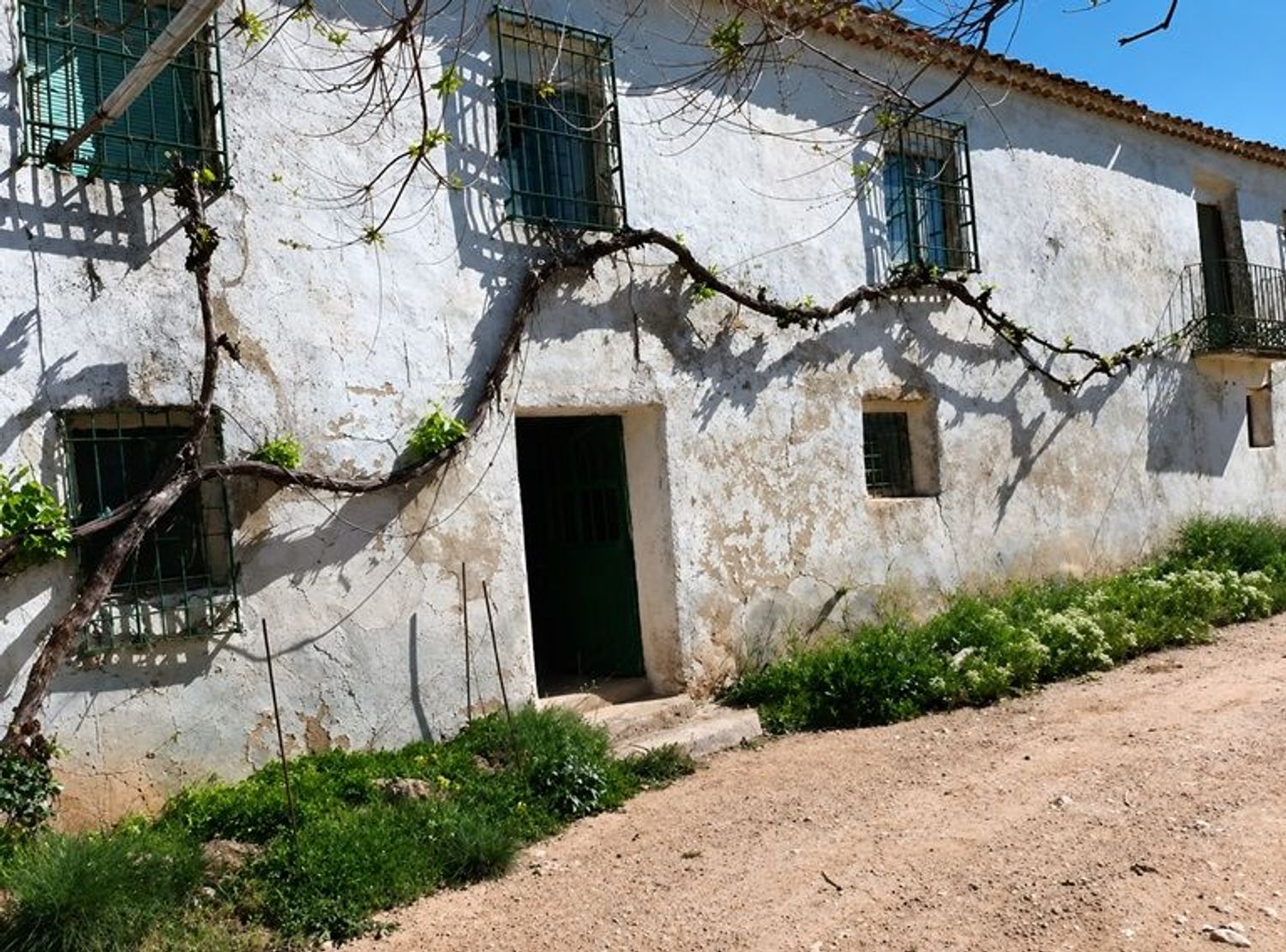 Cortijo en Carretera Ciudad Real-Murcia s/n - Foto 2