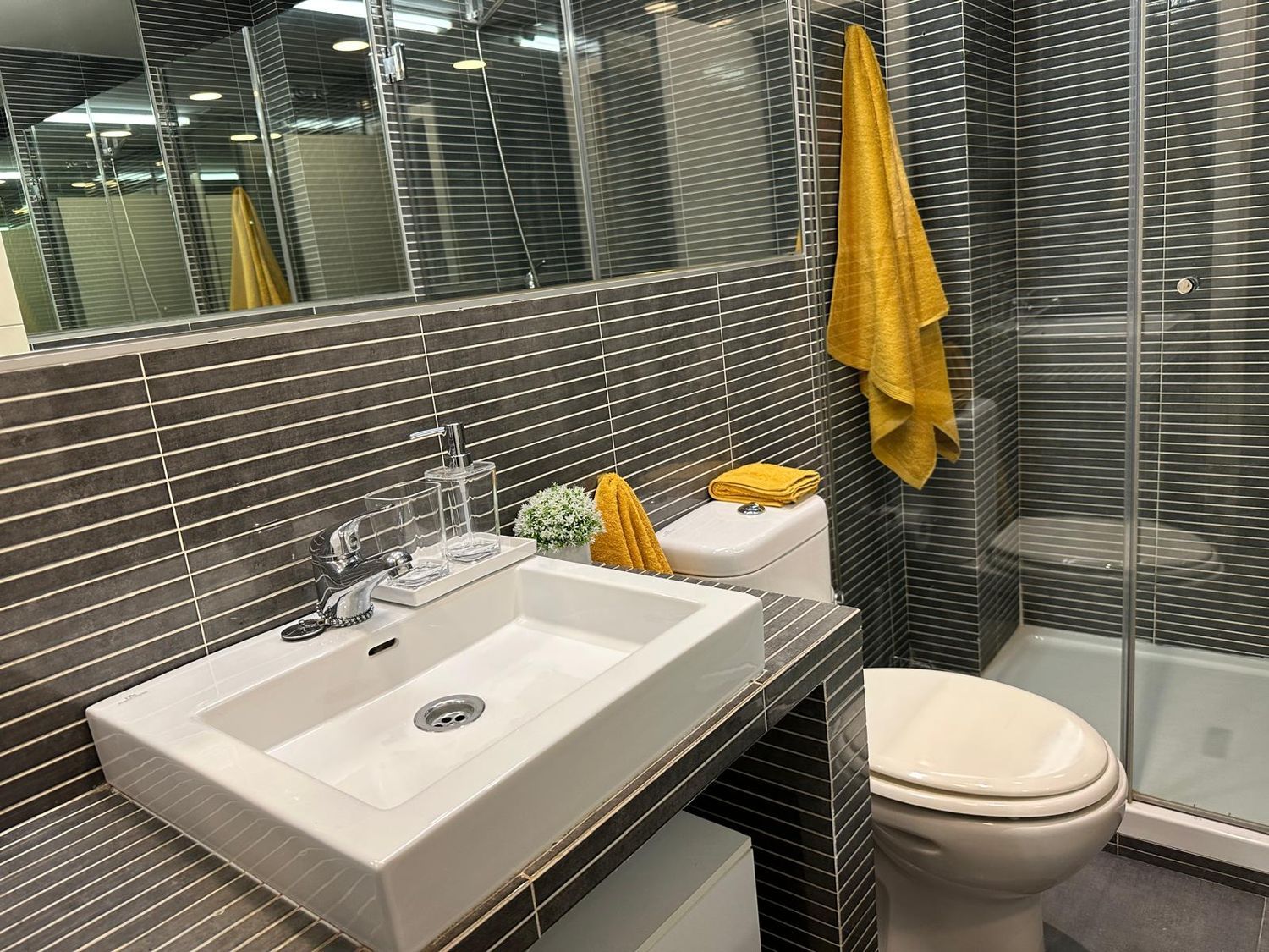 Estudio en Avenida Cayetano del Toro, 23, Zona Laguna, Zona Laguna - Foto 12