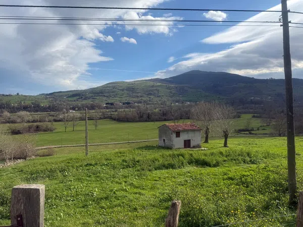 Finca rústica en Carretera general s/n - Foto 4