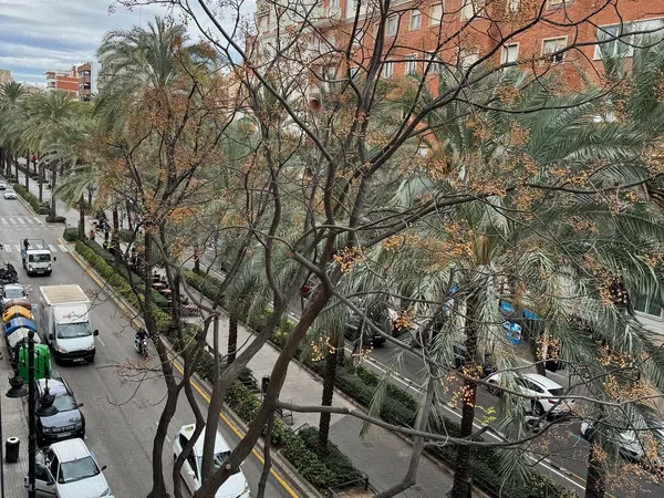 Piso en Avenida del Regne de València, 64, Russafa - Foto 23