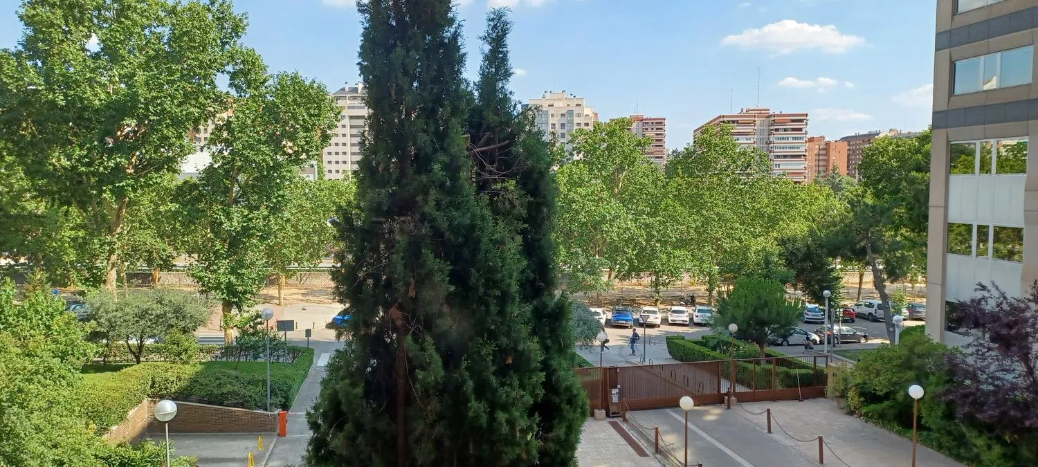 Piso en calle de Santiago de Compostela, 92 - Foto 24