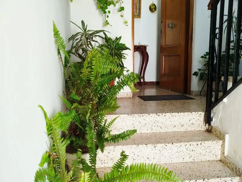 Piso en  Avenida San Miguel 1 - Foto 10