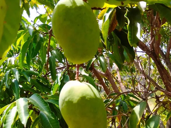 Casa independiente en Carretera, 188 - Foto 34