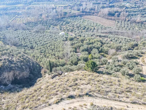 Cortijo en Solana s/n - Foto 16