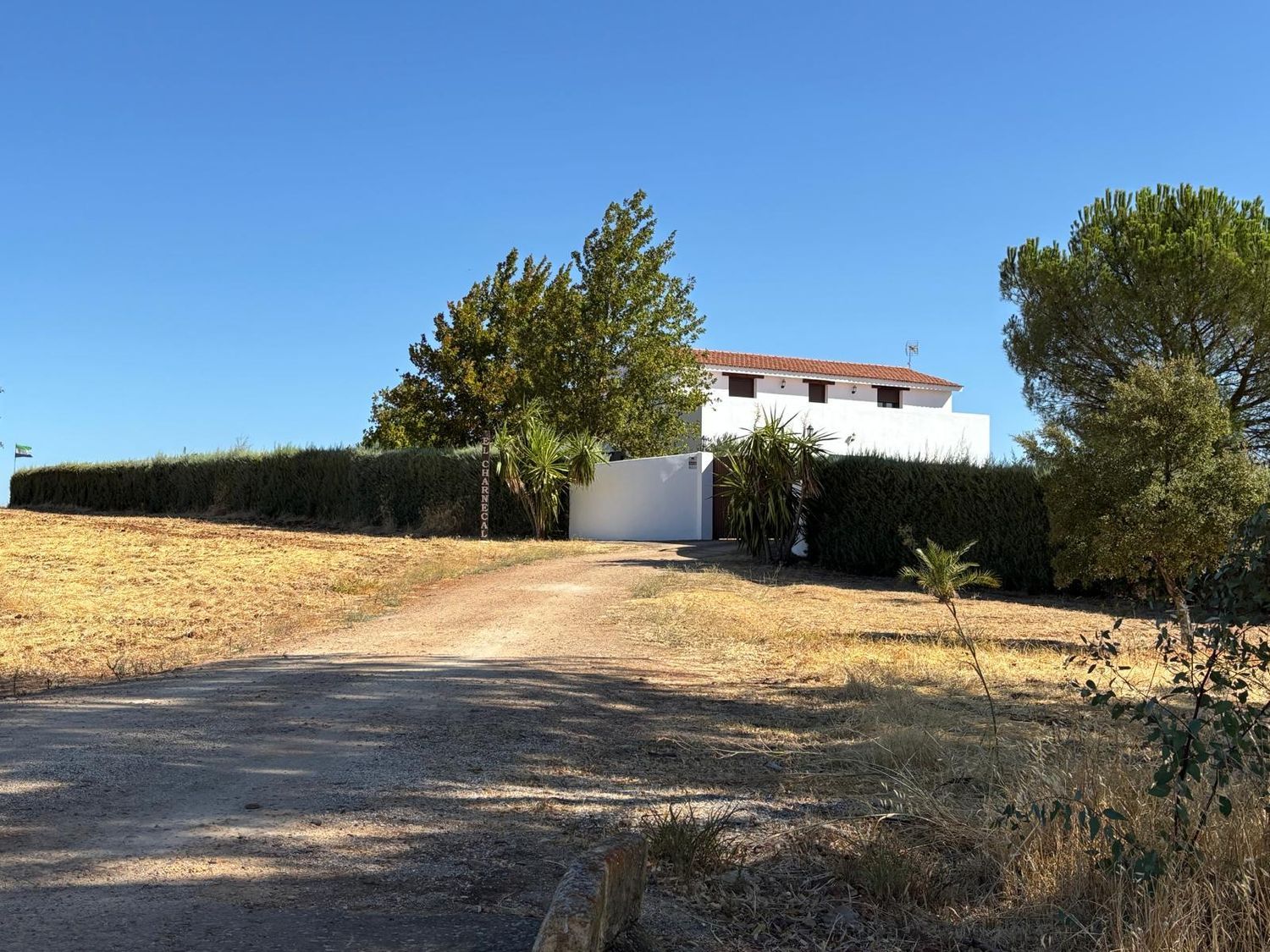 Casa o chalet independiente en Montijo - Foto 3