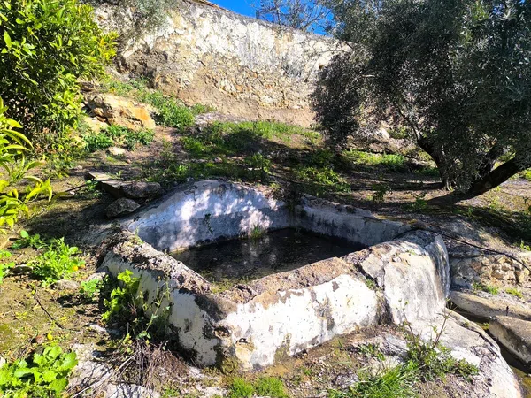 Cortijo en Via Sin Nombre s/n - Foto 31