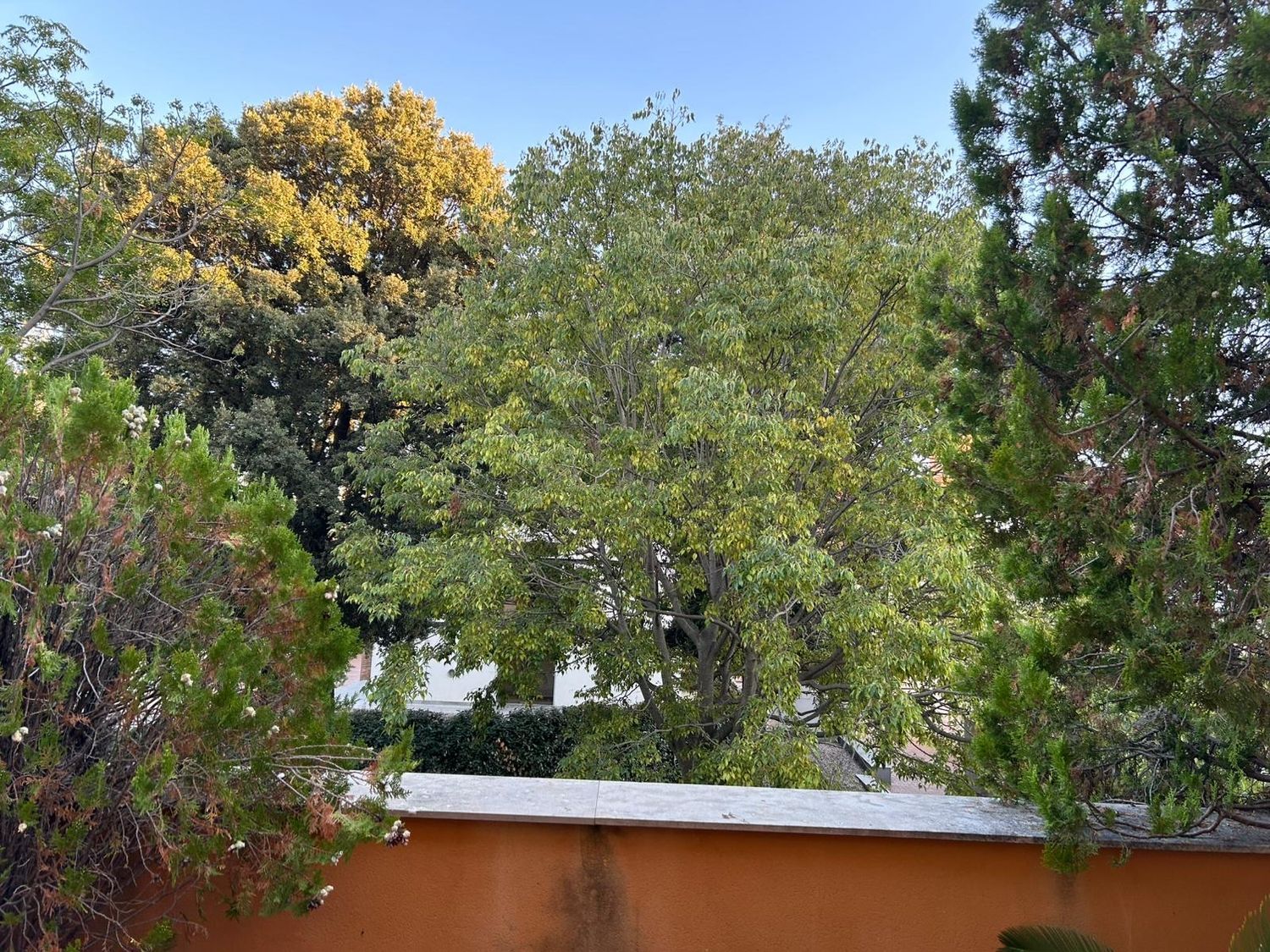 Piso en Calle del Vall, 67, Centre - Foto 29