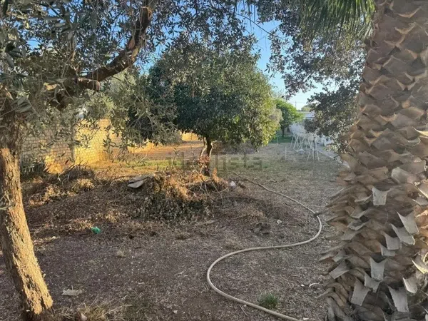 Casa independiente en Urbanizacion Montelirio f, 6 - Foto 22