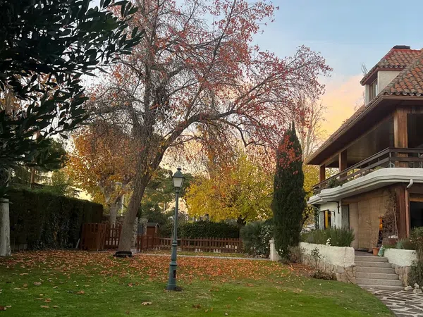 Casa o chalet independiente en Calle de la Alondra, 5, Somosaguas - Foto 1