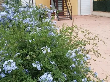 Piso en  Barrio Ruilobuca 47 - Foto 43