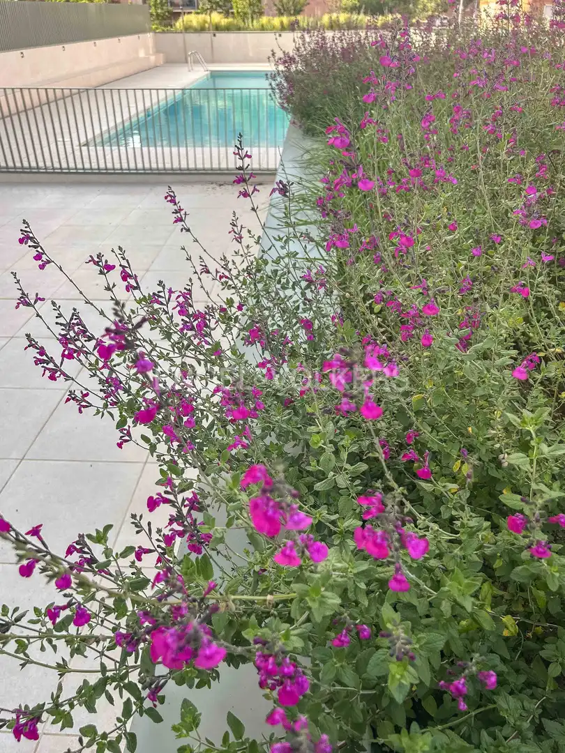 Piso en Terrassa - Foto 5
