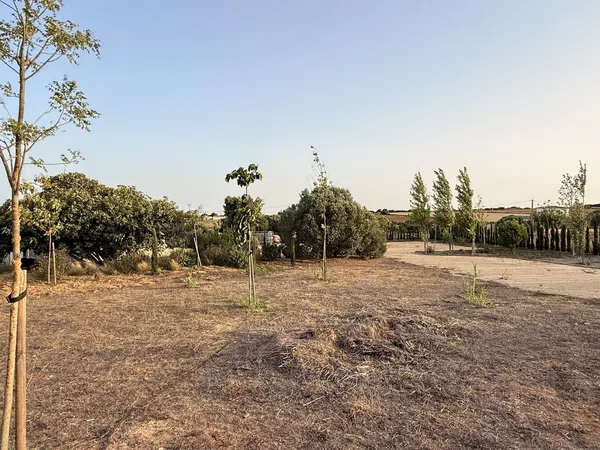 Finca rústica en Ca-4201 s/n, Barrio Nuevo, Barrio Nuevo - Foto 19