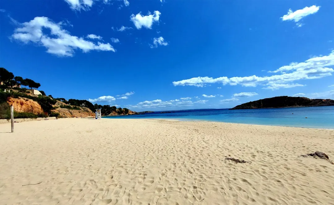 Ático en  Carrer Garcilaso de la Vega 5 - Foto 3