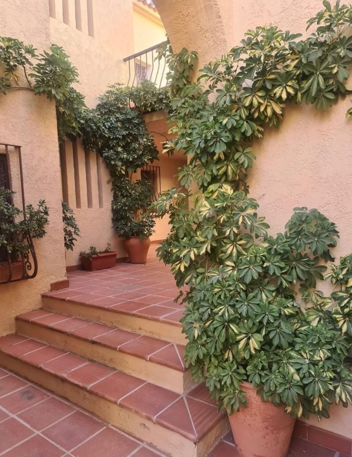 Piso en Calle Currica, 50, Zona de Mascarat, Zona de Mascarat - Foto 31
