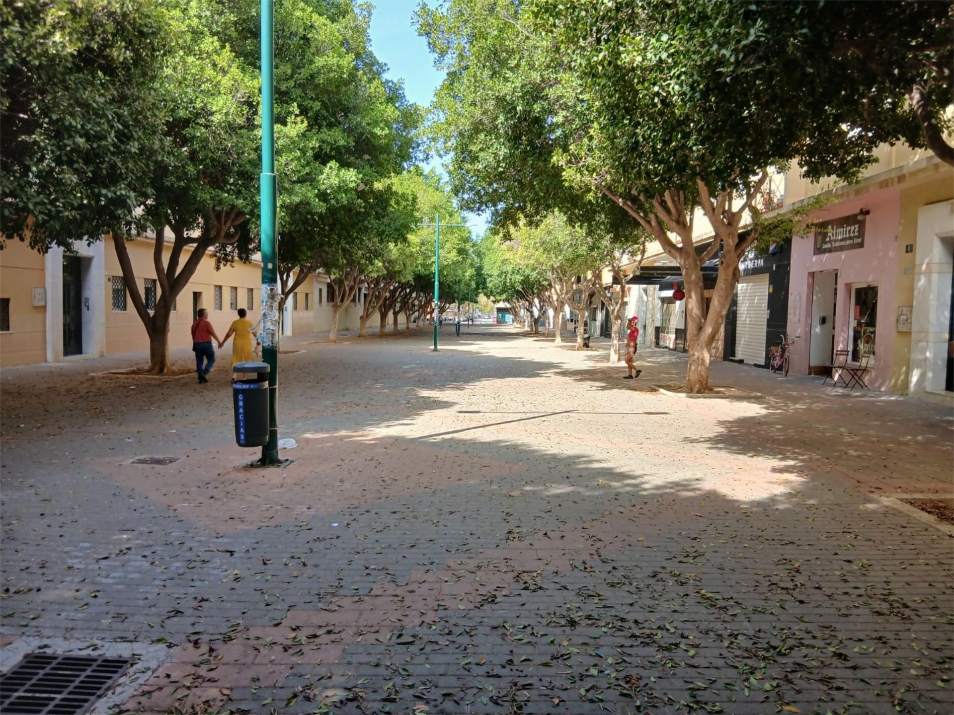 Piso en  Calle Margarita Xirgu 6