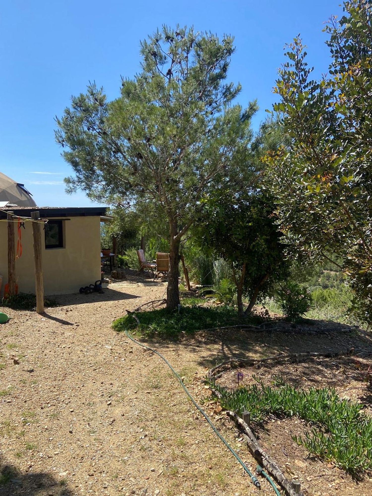 Casa rural en Rambla del acebuchal s/n - Foto 8