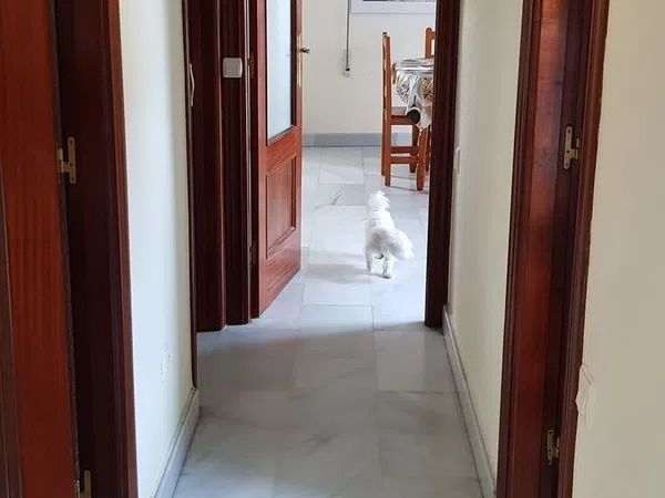 Piso en calle la Braña, 3 - Foto 4