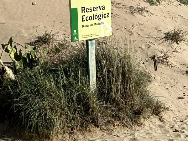 Piso en calle Temporal, 2 - Foto 1