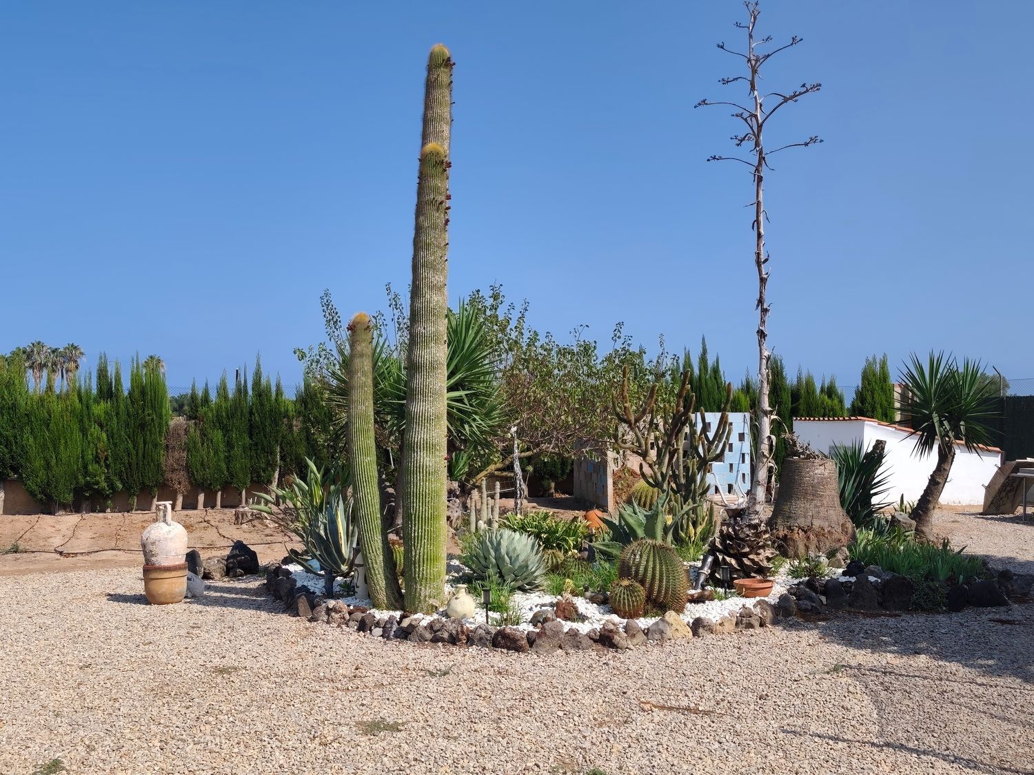 Finca rústica en Camino de Almarda, 11, Centro - El Castillo, Centro - El Castillo - Foto 11