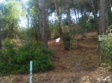 Terreno Residencial en  Passeig Walt Disney 23 - Foto 8