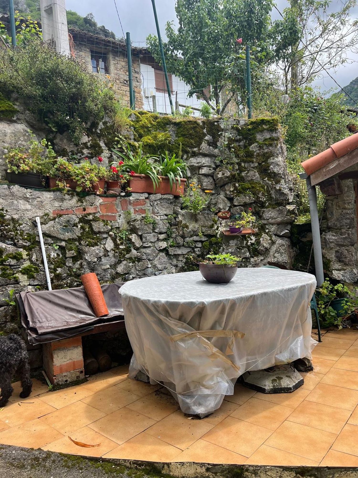 Casa de pueblo en Serandi s/n - Foto 11
