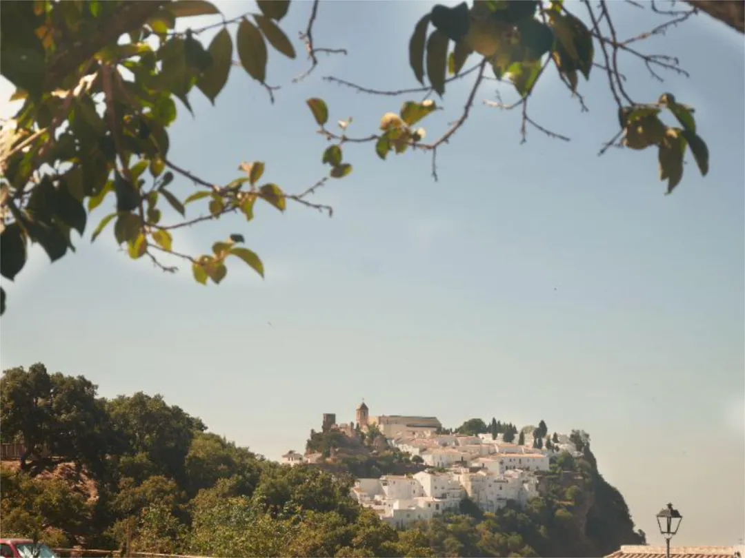 Finca rústica en  Carretera Ma-8300 a-7 a Casares 44 - Foto 1