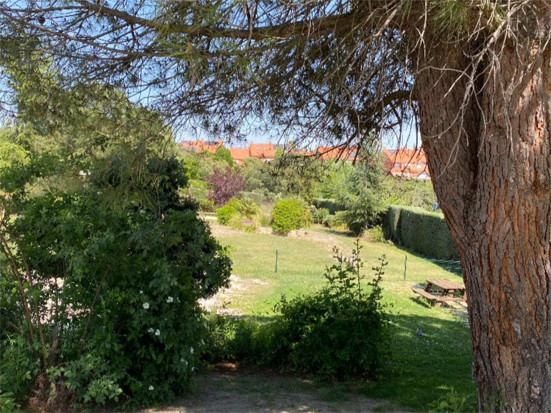 Piso en  Calle Picasso 9 - Foto 39