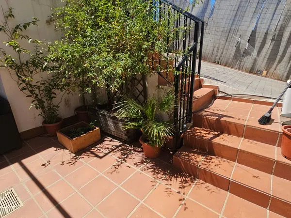 Casa o chalet independiente en Calle Almezo, 8, Alcolea - Foto 20