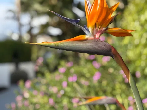 Piso en calle Igualeja, 4 - Foto 16